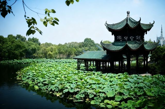 自貢怎麼玩?這份「鹹鹹的」攻略帶你逛吃「龍宮」和燈海! 自貢怎麼玩?這份「鹹鹹的」攻略帶你逛吃「龍宮」和燈海!