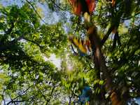 江門小眾溫泉度假天花板台山瀾朵