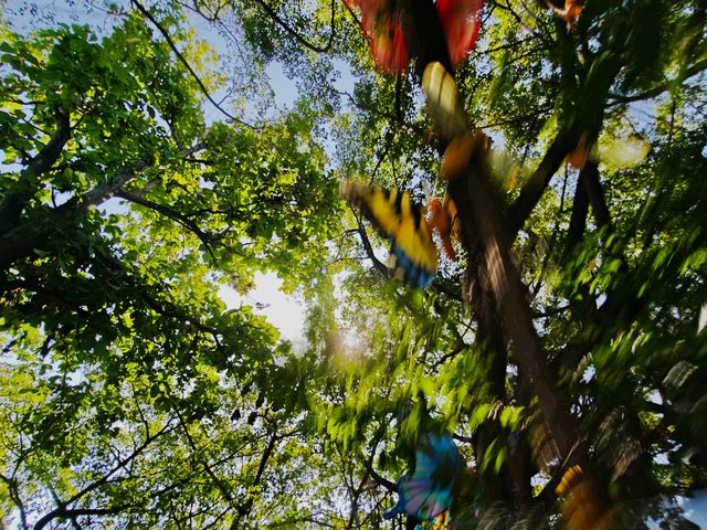 江門小眾溫泉度假天花板台山瀾朵