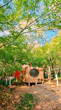 南京棲霞山秋色實測｜銀杏金黃楓葉漸變，下週顏值巔峰！