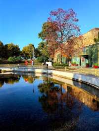 冬天裡的長沙，是這樣的……