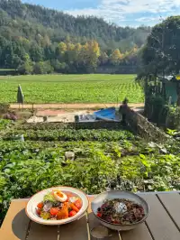 赴約山海｜台州自駕行程記錄（寵物友好版）