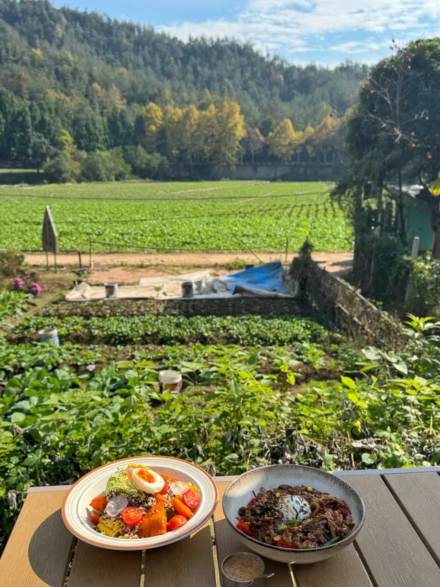 赴約山海｜台州自駕行程記錄（寵物友好版）