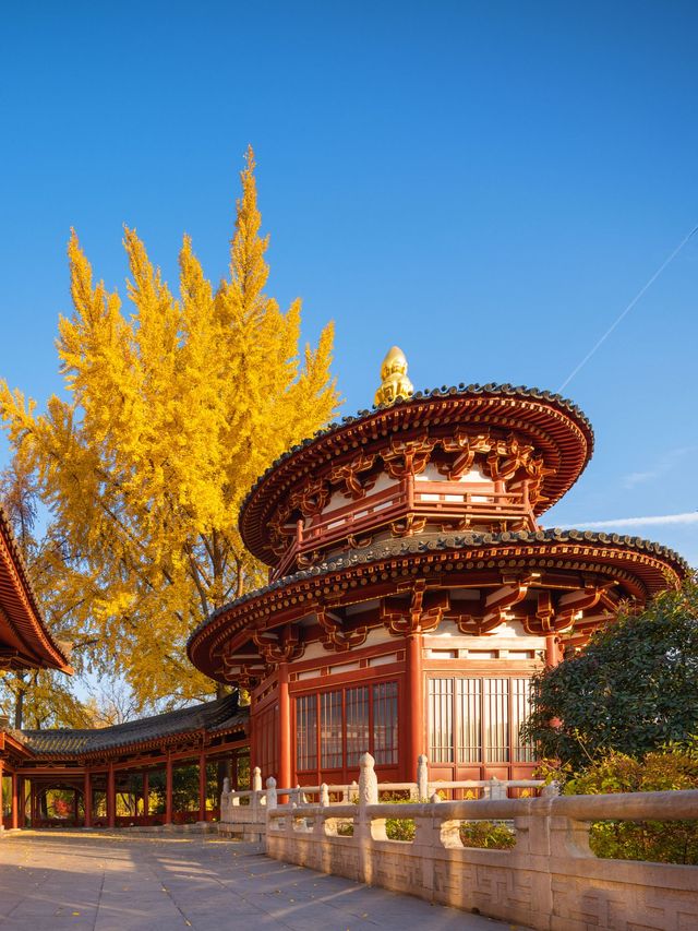 在西安，趕一趟賞秋末班車