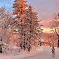 Changbai Mountain in December⭐️❄️: Sunset🌅, Snow Fun, and Magical Views 🌅❄️