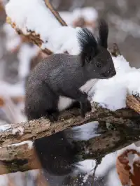 再吃，再吃就把你拍下來，放到網上去！