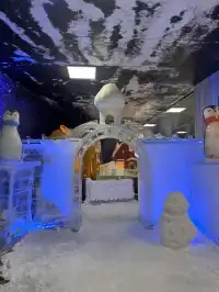 不用去北歐！惠州就能撸真企鵝+冰雪滑梯！