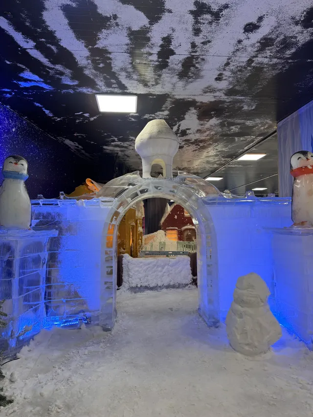 不用去北歐！惠州就能撸真企鵝+冰雪滑梯！