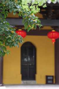 常熟方塔園賞桂攻略 這抹金黃香醉了整個秋天