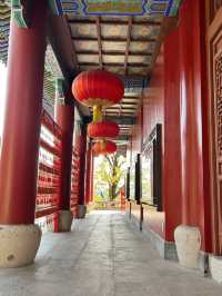 講真！花一百多去看個大金佛值不值？大實話全在這