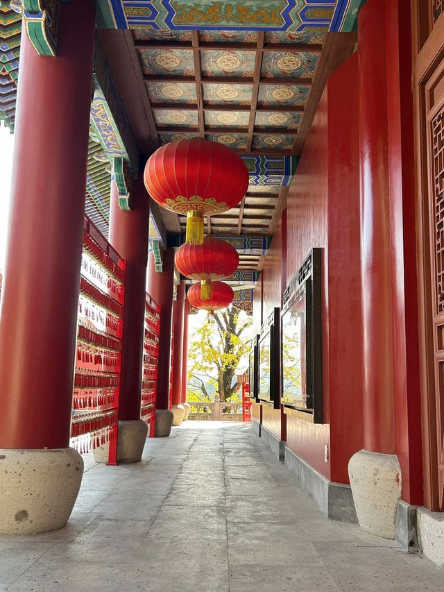 講真！花一百多去看個大金佛值不值？大實話全在這