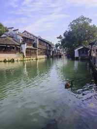 門票150值不值？聽句實話，別被營銷號騙了