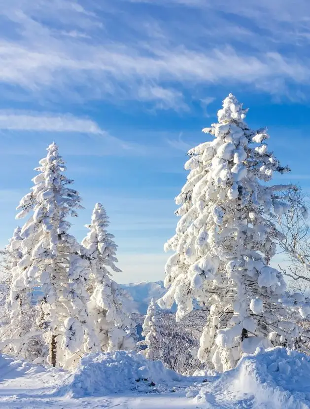 누가 알겠어! 경박호+녕고탑 1일 투어가 이렇게 순조로울 줄이야