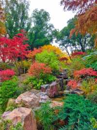 上海小京都這片楓葉階梯美到窒息!人少速來!