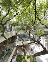 上海最好的地方都是免費的