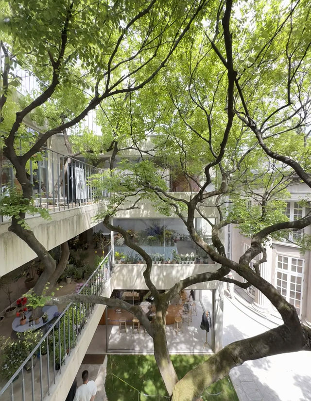 上海最好的地方都是免費的 上海最好的地方都是免費的