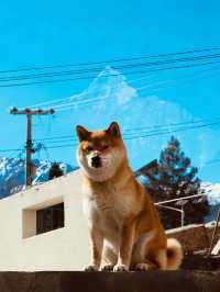 四姑娘山封神民宿!推窗直面雪山,私湯星空