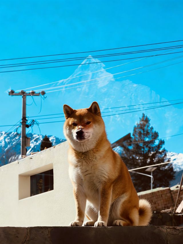 四姑娘山封神民宿!推窗直面雪山,私湯星空 四姑娘山封神民宿!推窗直面雪山,私湯星空