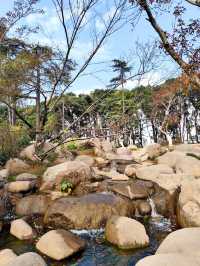 赴約不一樣的秋天|共青松濤幽谷遇見金色銀杏