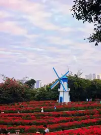 青秀山最近超火的,不愧是5A景區殺瘋了