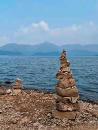 12月8日四明湖紅杉林紅度100%最佳觀賞期！