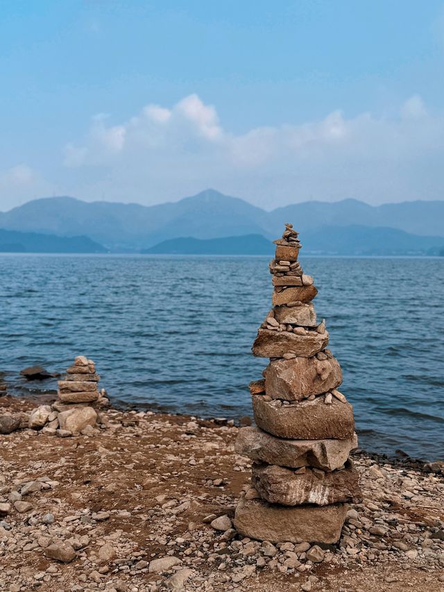 12月8日四明湖紅杉林紅度100%最佳觀賞期！