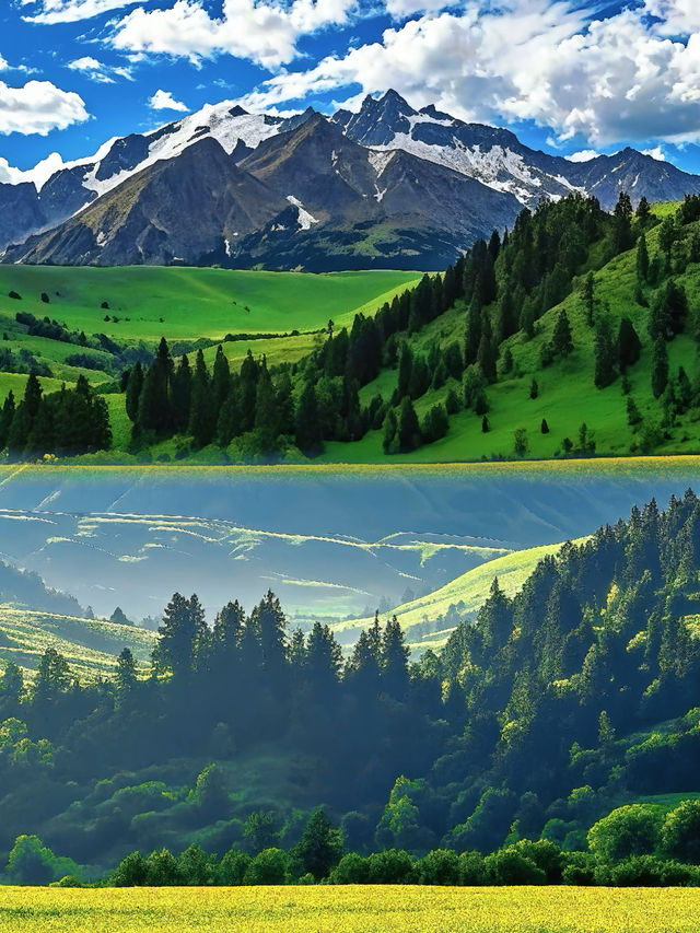 川西花海雪山秘境 川西花海雪山秘境