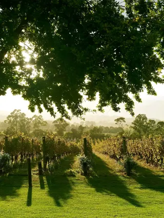 Southern Hemisphere Midsummer Invitation｜Spend a 25℃ Christmas in Melbourne