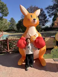 上海野生動物園最全帶娃攻略