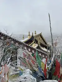 四姑娘山2日遊｜雙橋溝漂流+長坪溝騎馬