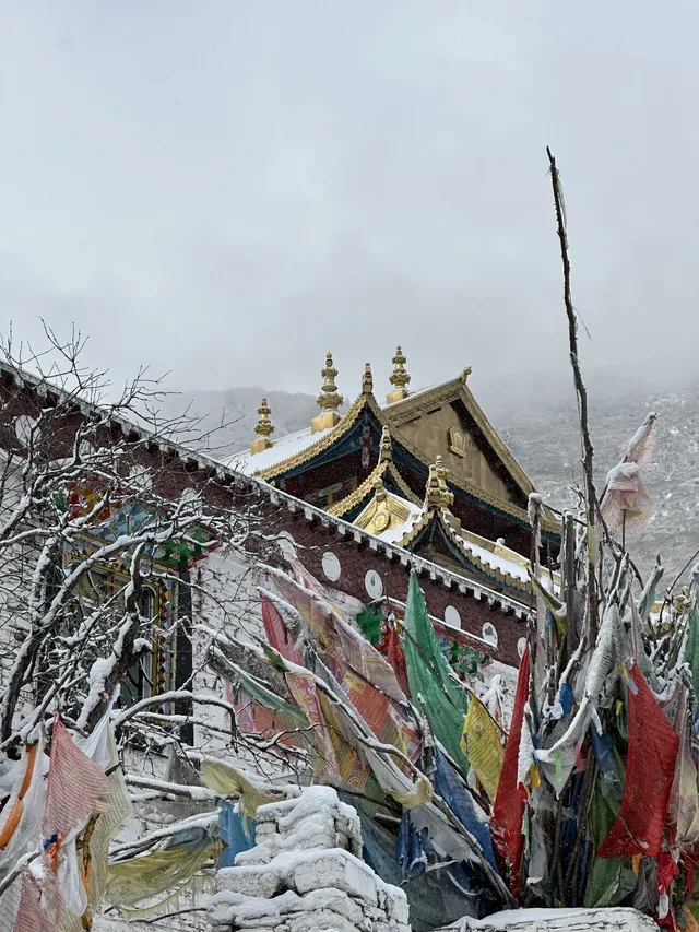 四姑娘山2日遊｜雙橋溝漂流+長坪溝騎馬