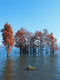 大理旅行 ｜龍龕碼頭入口這個機位太美了吧