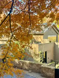 莫干山蔣公古道 請大膽浪費時間給秋天