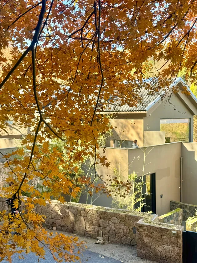 莫干山蔣公古道 請大膽浪費時間給秋天