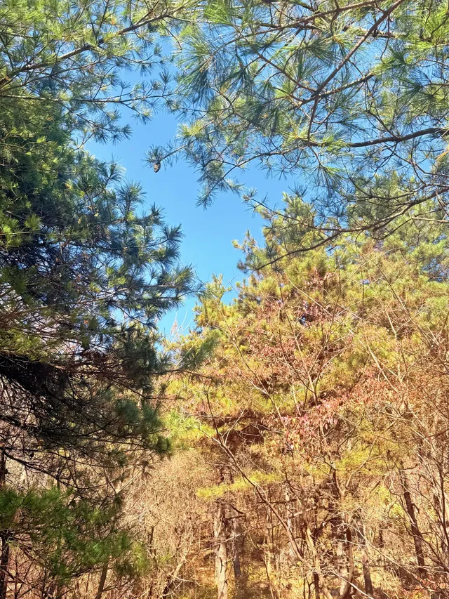 西安遛娃爬山推薦-藍田蓮花山人少不累