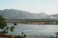 中科院植物園拍照YYDS