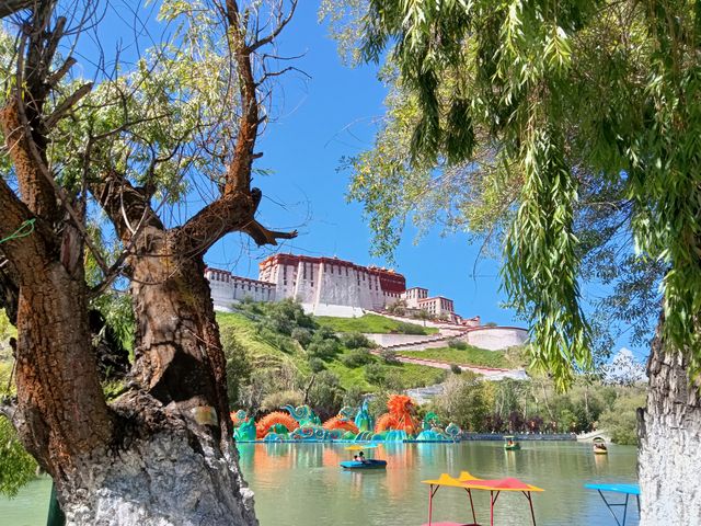 布達拉宮背面 布達拉宮背面