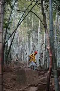 浙江徒步|古堡配紅楓跟風最成功的一次