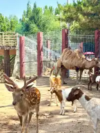 西安世博園保姆級遊覽攻略