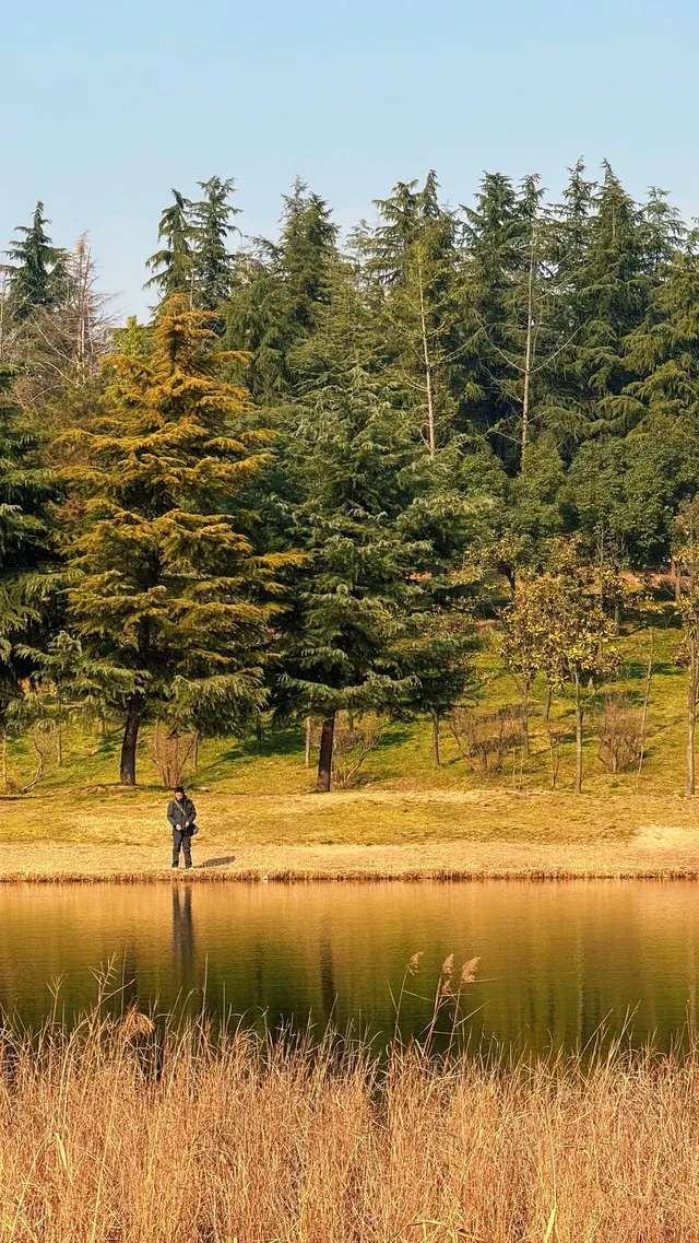 西安高新小森林 西安高新小森林
