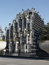 千樹最佳拍照打卡路線來了!