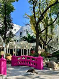 上海秘密花園,小眾城堡美翻了