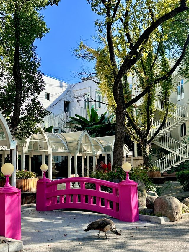 上海秘密花園,小眾城堡美翻了 上海秘密花園,小眾城堡美翻了