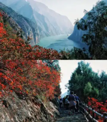 隱山𝟙𝟡|三峽之巔,煙光凝而暮山紫