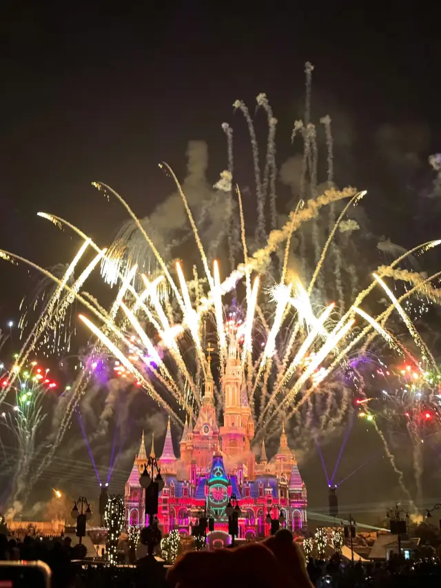 2大1小去上海迪士尼消費明細(普通家庭)