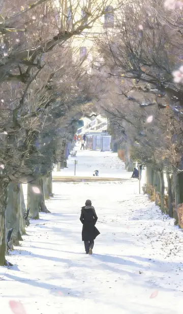 Winter Ultimate Guide to Vienna: Christmas Fairy Tale + Ice Rink + Royal Ball "Anime Edition"