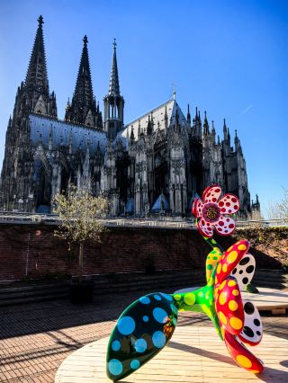 没入型体験！草間彌生ケルン特別展2026年に堂々登場