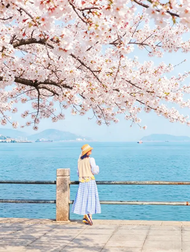 Qingdao Shazikou｜Qingdao's Little Italy Healing Mountain-Sea Fishing Village