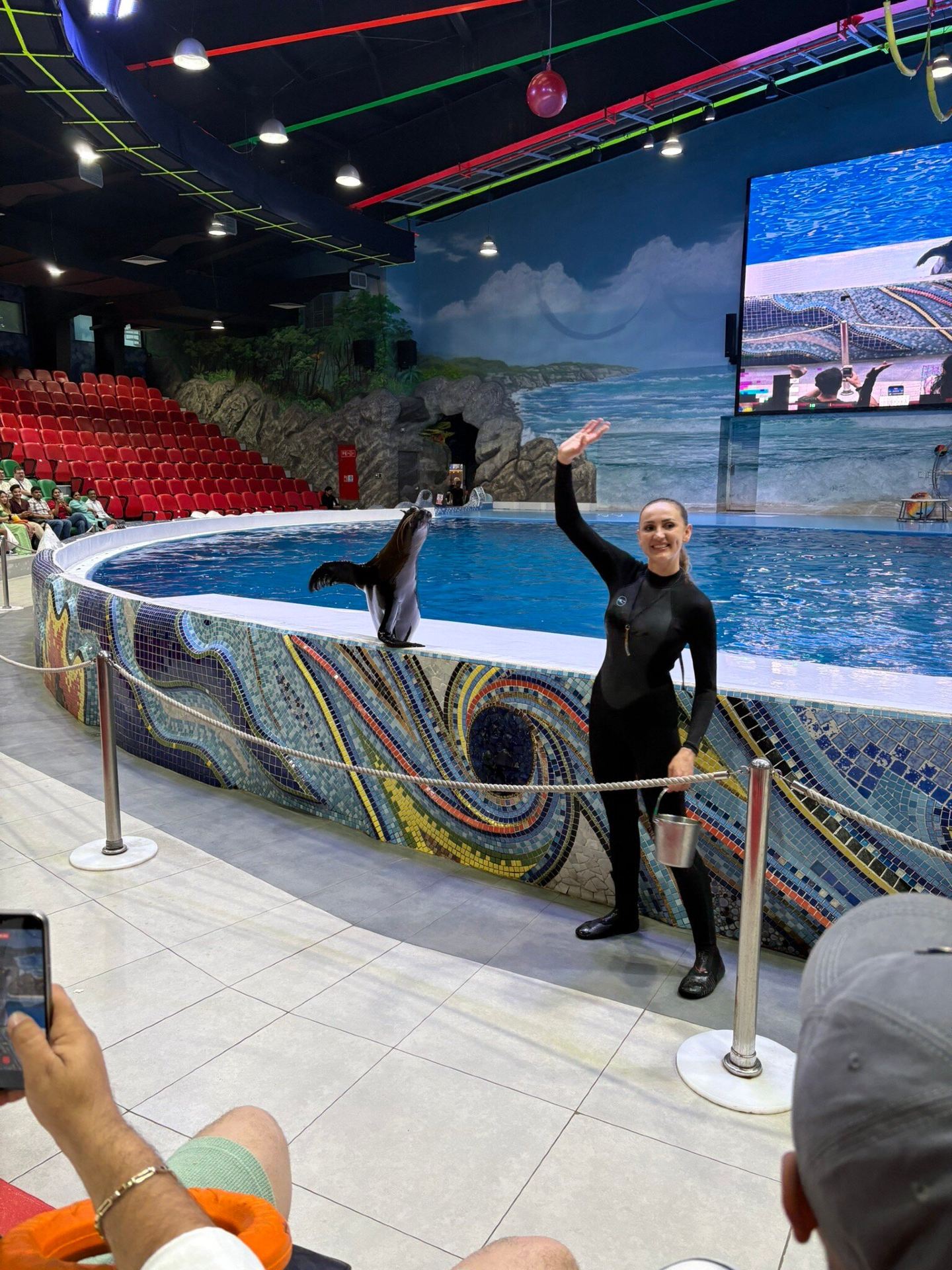 Amazing Dolphin Experience with Outstanding Staff