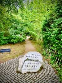 🛶 在康河柔波裡當條水草——英國劍橋大學+劍河撐篙(Punting)攻略